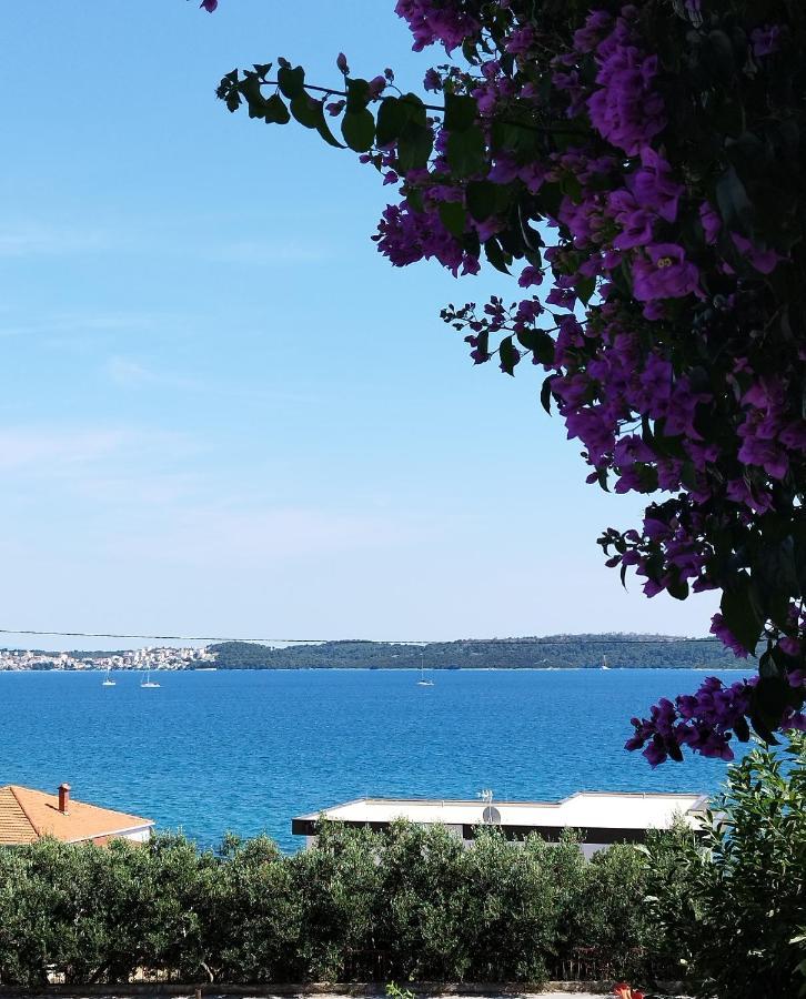 Filip * Trogir